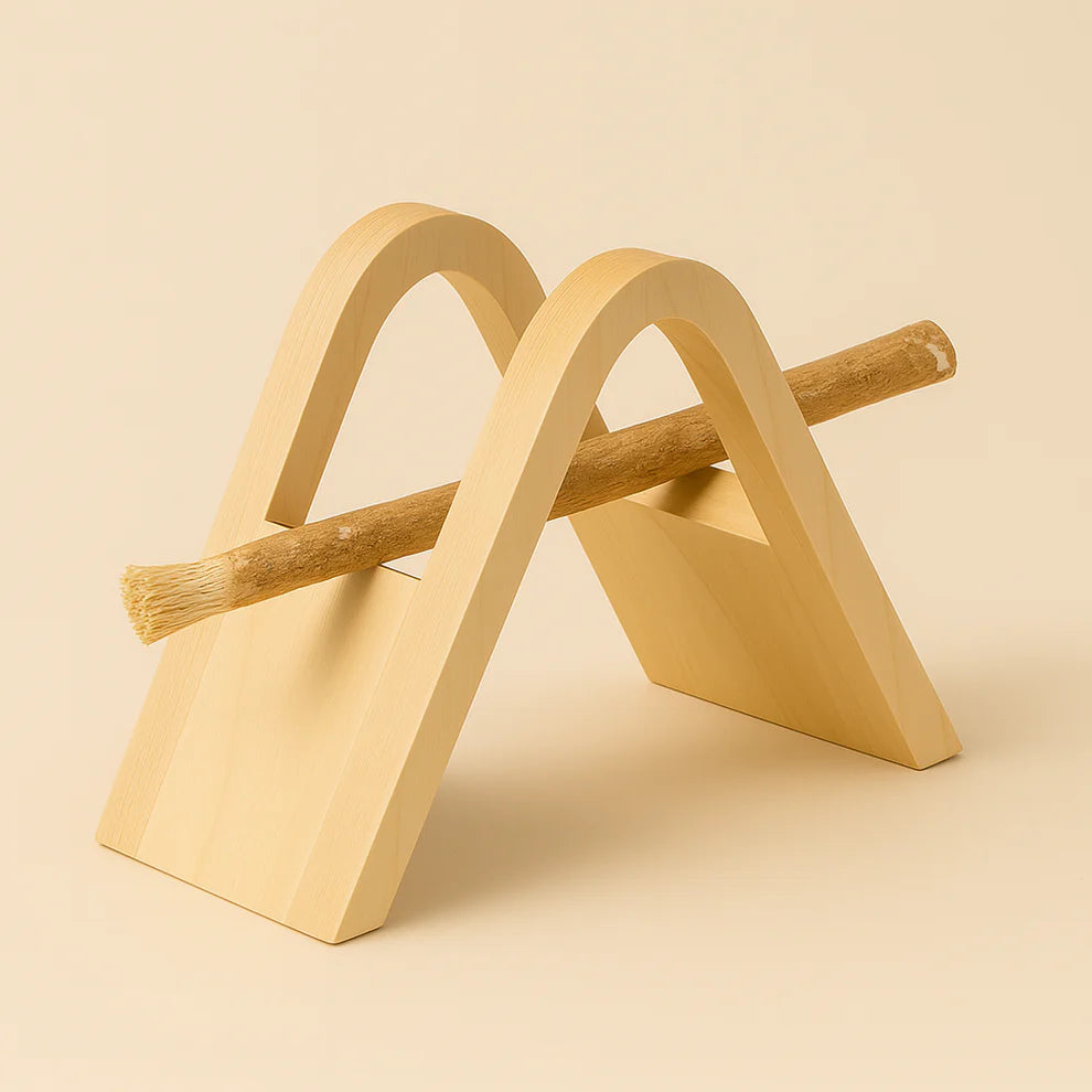 The Root Holder (Prevents Mold)